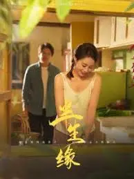 新版:半生缘 海报
