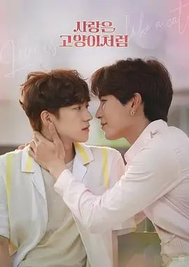 《爱情像猫一样》：跨国恋的甜蜜暴击，人与猫的治愈双重奏！