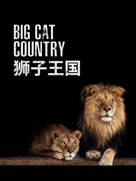 《狮子王国》：野性呼唤与生存法则的史诗！揭秘非洲草原的生存挑战与人性光辉